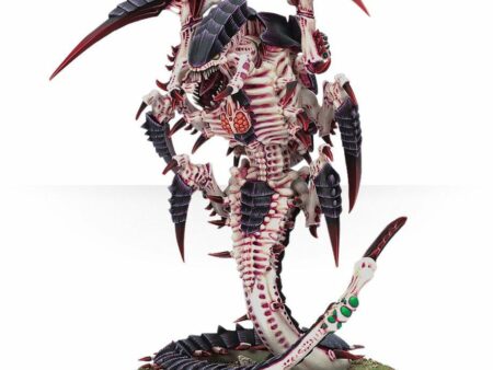 Trygon (Web Only)