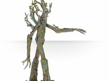 Ent™  (Web Only)