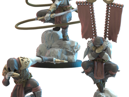 Dakumun Shinobi Cg