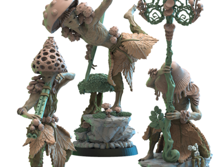 Shaolin Kodamas Cg