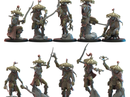 Akkorokamui Corsairs