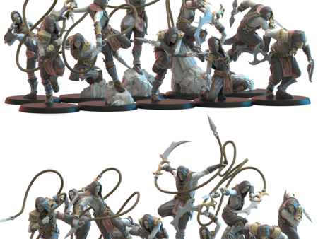 Dakumun Shinobi Regiment