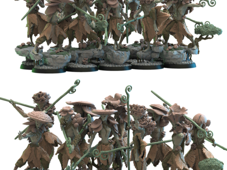 Shaolin Kodamas