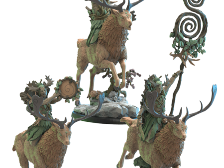 Shika Riders Cg