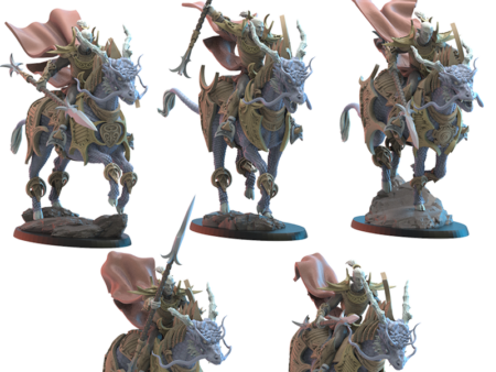 Shedo Knights on Longma