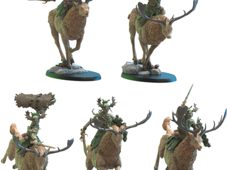 Shika Riders