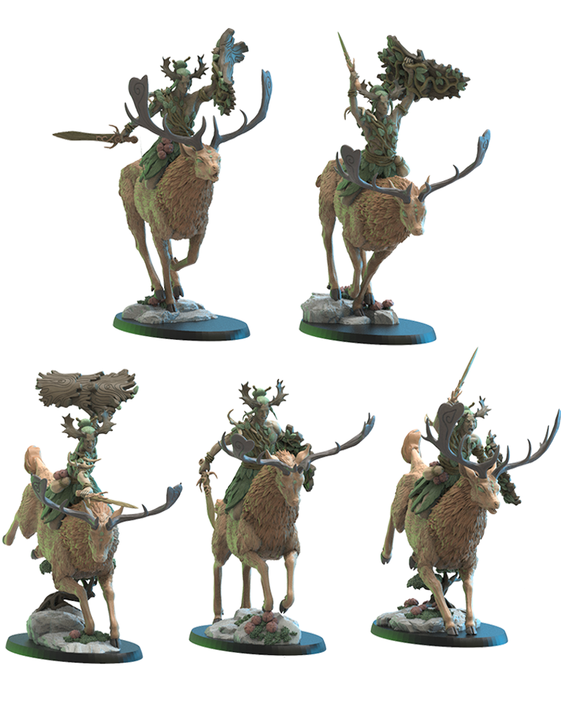 Shika Riders