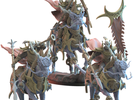 Shedo Knights on Longma Cg