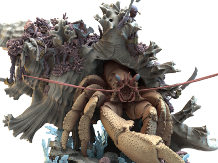 Corpse Hermit Crab