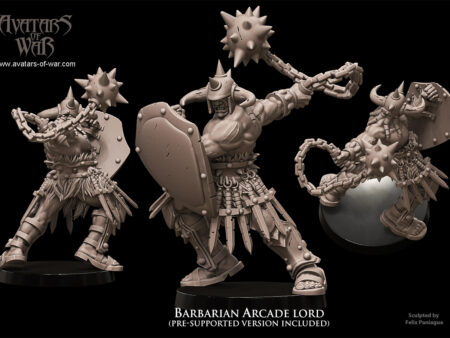 Barbarian Arcade Lord 1