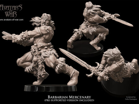 Barbarian Mercenary 2 1
