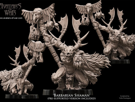 Barbarian Shaman 1