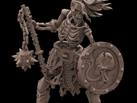 Skeleton Warrior Shield Flail
