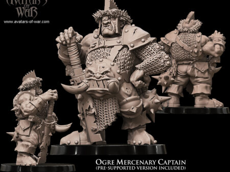 Ogre Mercenary Captain P2