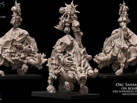 Orc Shaman on Boar