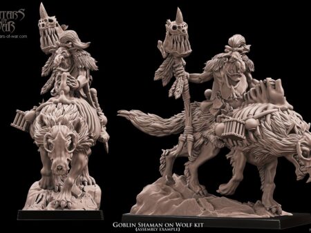 Goblin Shaman on Wolf Kit