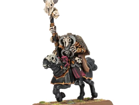 Sorcerer of Chaos on Chaos Steed (Web Only)