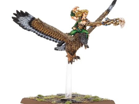 Wood Elf Mage on Warhawk (Web Only)