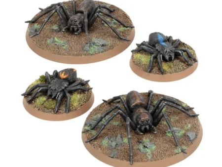 Spiders of Middle-earth™ (Web Only)